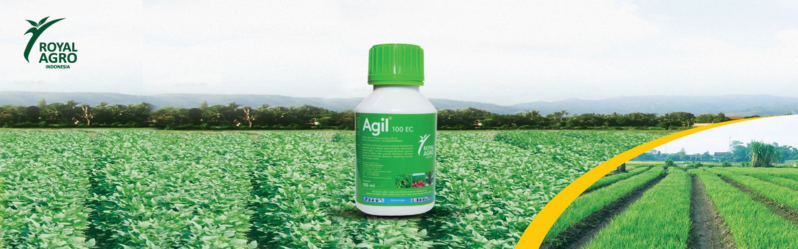 agil_small
