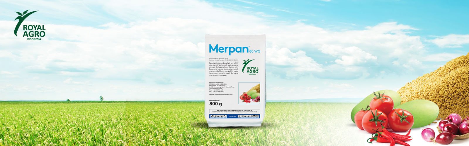 merpan_small