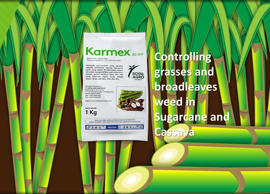 Karmex  80 WP