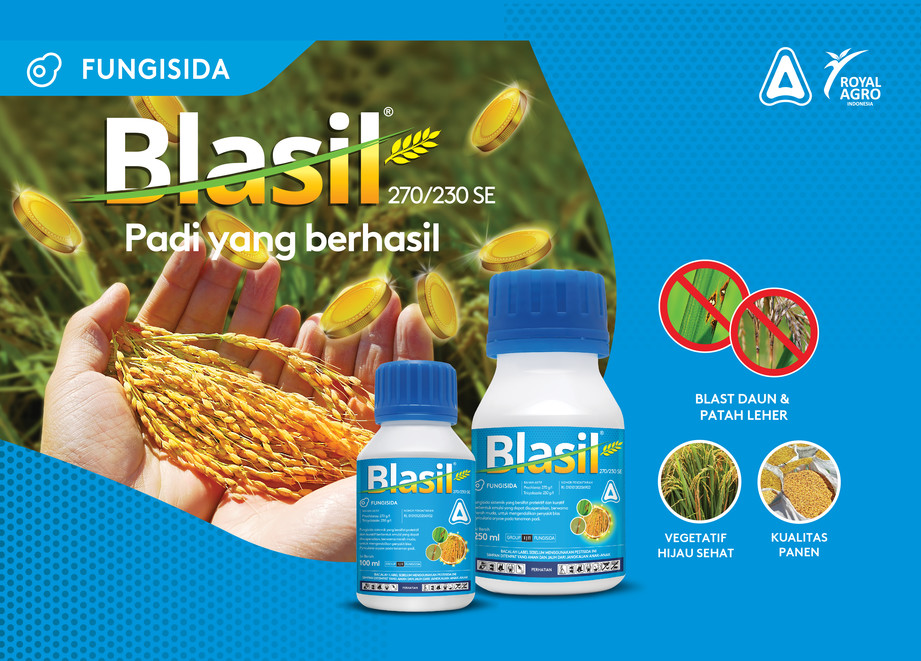 Blasil Campaign